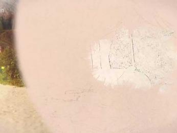 Taanni — Bongacams recorded stream screenshot (21 Feb 2026)