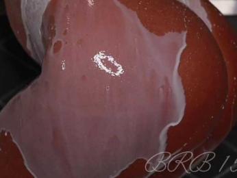 -Linda- — Bongacams recorded stream screenshot (23 Feb 2026)