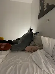 EllyNora — Stripchat recorded stream image, 23.02.2026 21:00