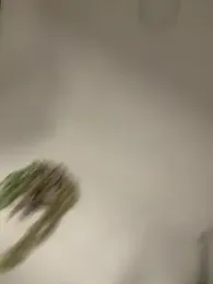 valeria2019hot — Stripchat recorded stream image, 23.02.2026 21:50