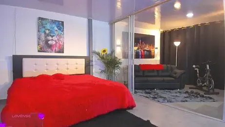 Playhardsexx — Stripchat recorded stream screenshot (25 Feb 2026)