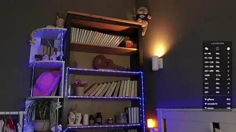 DarylBarks — Stripchat recorded stream image, 27.02.2026 01:00