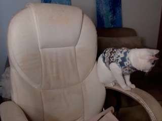 alexyferrer — Camsoda recorded stream image, 06.03.2025 18:30