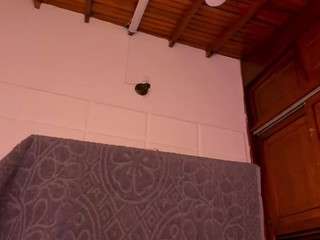 gabbyhaze — Camsoda recorded stream image, 03.03.2026 05:30