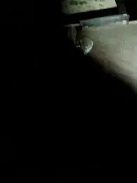 hello098712 — Stripchat recorded stream image, 06.03.2026 09:10