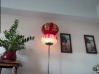 girl_next_door19 — Chaturbate recorded stream screenshot (08 Mar 2026)