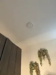 valeria2019hot — Stripchat recorded stream image, 10.03.2026 13:20