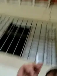 Peludo173317 — Stripchat recorded stream image, 10.03.2026 18:10