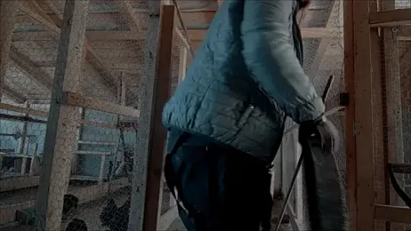 curvyana69 — Stripchat recorded stream image, 11.03.2026 09:30