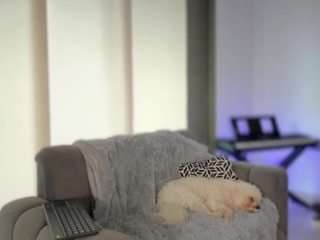 ashleygreene — Camsoda recorded stream screenshot (11 Mar 2026)