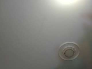 apotheosiss — Camsoda recorded stream image, 13.03.2026 08:10