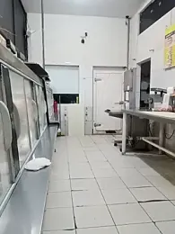 RobertoLuiz84 — Stripchat recorded stream image, 13.03.2026 13:00