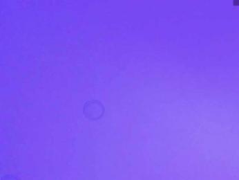 Gisell-Montoy — Bongacams recorded stream image, 20.03.2026 13:30