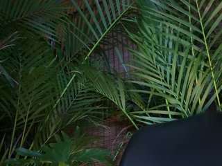 anastaxialynn — Camsoda recorded stream image, 24.03.2026 23:10