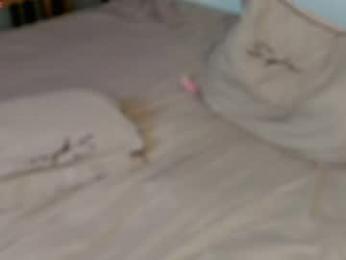 lili_and_niki — Chaturbate recorded stream image, 25.03.2026 12:30