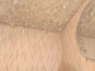 begoniia — Camsoda recorded stream image, 08.03.2025 03:00