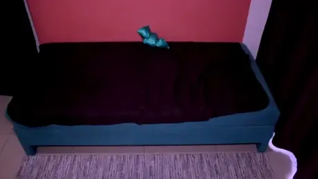Mia_Couple — Stripchat recorded stream image, 08.04.2026 15:00
