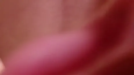 maataaan — Stripchat recorded stream image, 11.04.2026 04:20