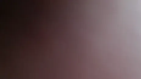 L_Sofia — Stripchat recorded stream image, 14.04.2026 06:50