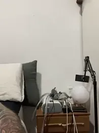 morfeoX — Stripchat recorded stream screenshot (14 Apr 2026)