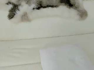 maryelle — Camsoda recorded stream screenshot (14 Apr 2026)