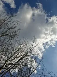 LydiaMaus96 — Stripchat recorded stream image, 16.04.2026 12:30