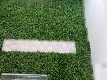 hotfallingdevil — Chaturbate recorded stream image, 23.04.2026 04:40