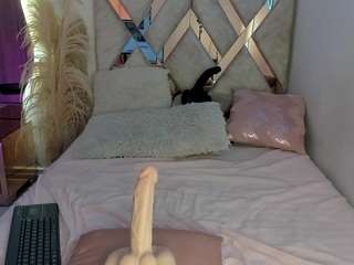 dana-curly — Camsoda recorded stream image, 24.04.2026 14:00