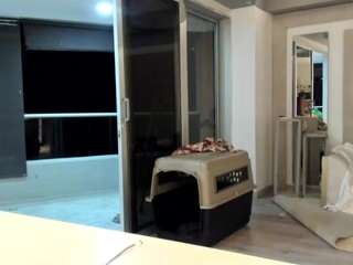 michellangels — Camsoda recorded stream image, 25.04.2026 04:20