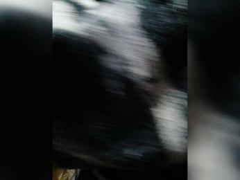 Cocochanell — Bongacams recorded stream image, 26.04.2026 07:40