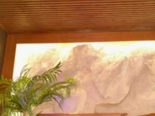 alison-mooon — Camsoda recorded stream image, 27.04.2026 23:10