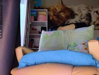 Mistress-Gwen — Bongacams recorded stream image, 09.05.2026 03:10