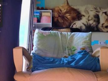 Mistress-Gwen — Bongacams recorded stream image, 09.05.2026 03:10
