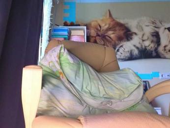 Mistress-Gwen — Bongacams recorded stream image, 20.05.2026 02:00
