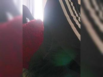 Cocochanell — Bongacams recorded stream image, 23.05.2026 10:30