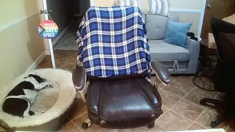 superbearboss — Stripchat recorded stream image, 28.05.2026 16:20