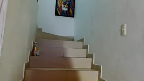 3littles — Stripchat recorded stream image, 12.06.2026 08:50