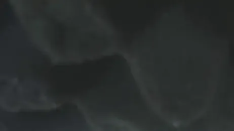 playsgirlhot — Stripchat recorded stream screenshot (10 Mar 2025)