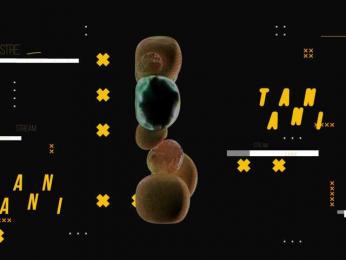 Taanni — Bongacams recorded stream image, 15.06.2026 02:30