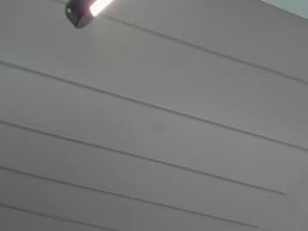 tiffanyhouston_ — Chaturbate recorded stream image, 22.06.2026 05:50
