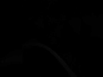 SallyeLeins — Bongacams recorded stream image, 26.06.2026 01:50