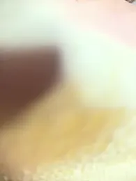 NicoleCut — Stripchat recorded stream image, 27.06.2026 10:10
