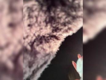 -MaybeBaby- — Bongacams recorded stream image, 11.03.2025 08:10