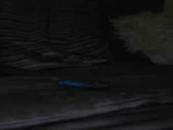 bigdicktrannynicole — Chaturbate recorded stream image, 01.07.2026 14:40