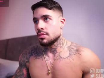 dominic_sullivan1 — Chaturbate recorded stream image, 19.07.2026 02:00