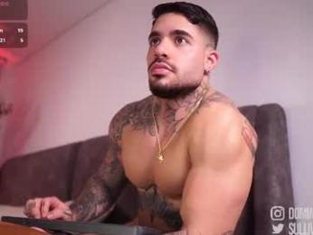 dominic_sullivan1 — Chaturbate recorded stream image, 19.07.2026 02:00