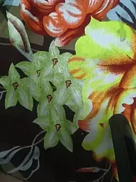 Anamika_Kapoor — Stripchat recorded stream image, 21.07.2026 03:00
