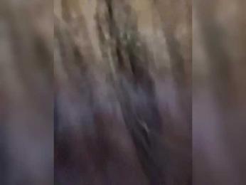 -ANGELIKA7741 — Bongacams recorded stream image, 12.03.2025 08:20