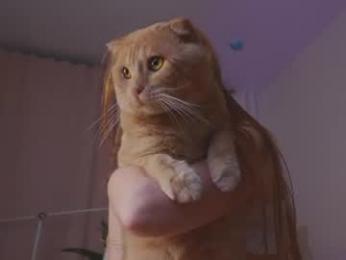 kailyginger — Chaturbate recorded stream image, 10.08.2026 13:40