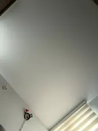 anli5 — Stripchat recorded stream image, 11.08.2026 15:00